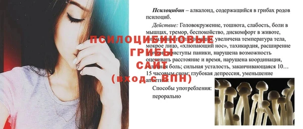 герыч Алзамай