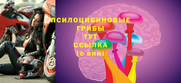 герыч Алзамай