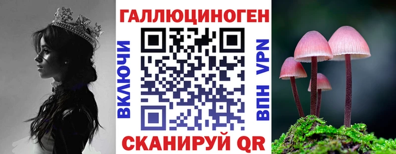 Псилоцибиновые грибы GOLDEN TEACHER  Омск 