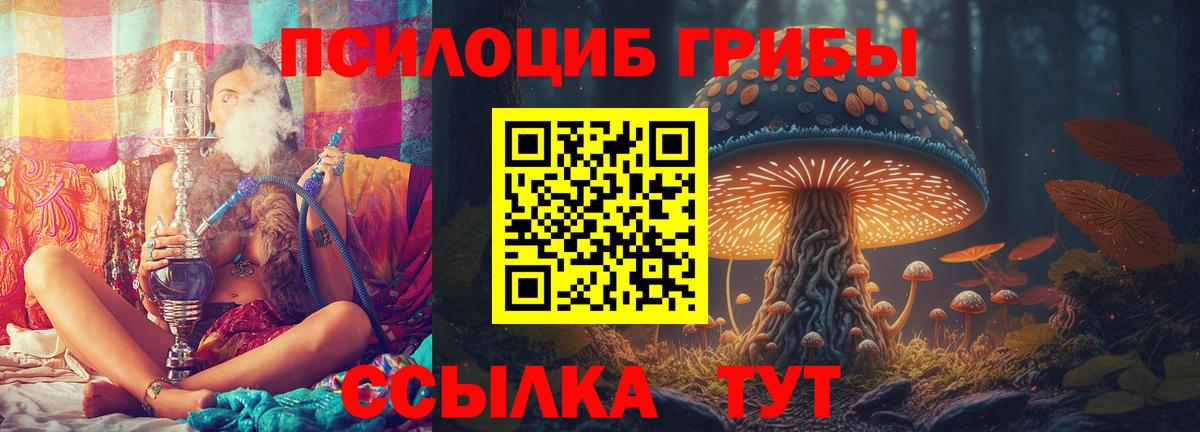 как найти закладки  Вход с VPN  Псилоцибиновые грибы прущие грибы  Омск  Псилоцибиновые грибы Cubensis 