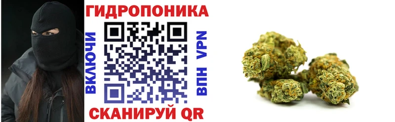 Конопля гибрид  где найти   Омск 